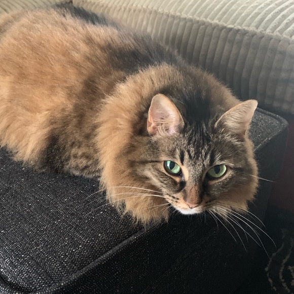 Meet your Posher, Rich - Picture 1 of 1